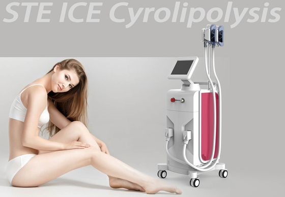 China Vacuum Cryo Cryolipolysis Slimming Machine For Fat Cavitation Machine supplier