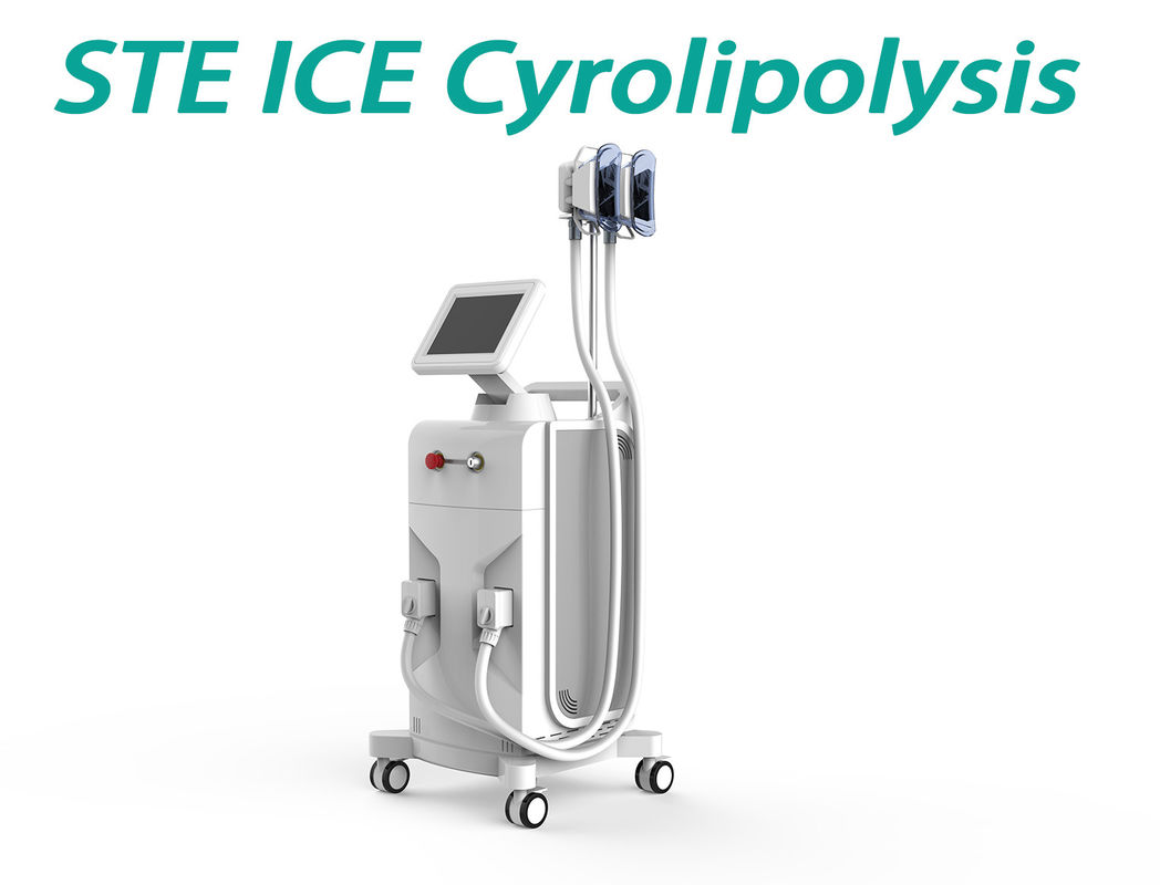 Professional Weight Loss Equipment Slimming Machine , Stationary Body