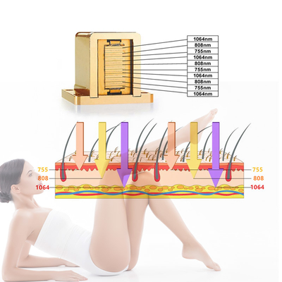 600w Diode Laser Hair Removal Machine 755nm 808nm 1064nm Hair Removal