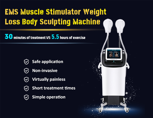 Muscle Stimulator Weight Loss Slim Beauty Machine Emsculpt Body Muscle